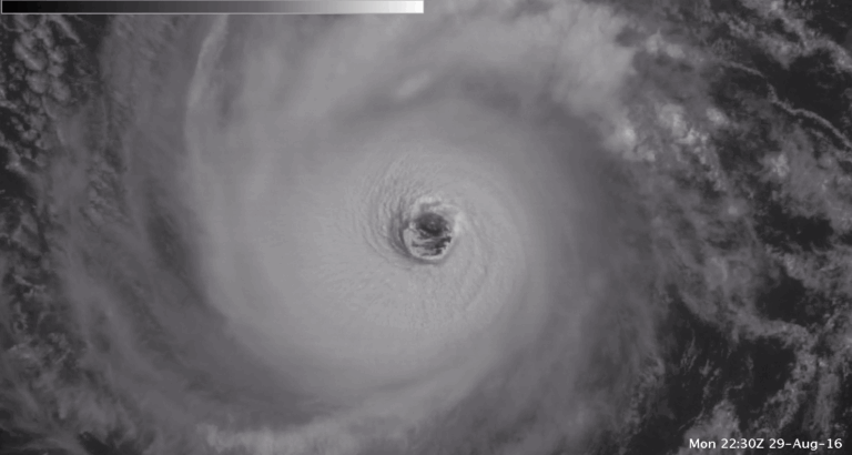 Tropical Vis Lester 01 768x410